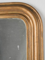 Timeless ornate gold powder room mirror