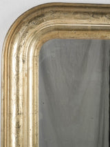 Elegant aged patina bedroom mirror