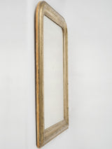 Classic silver-gold framed wall mirror