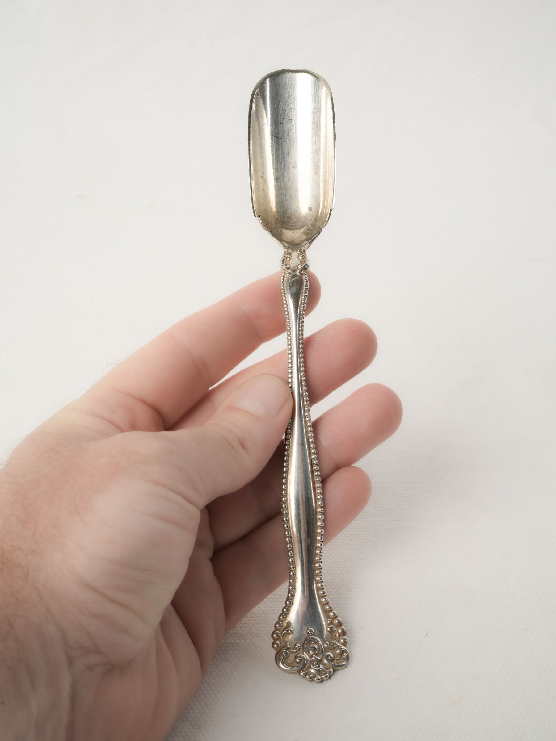 Antique Cheese Serving Spoon