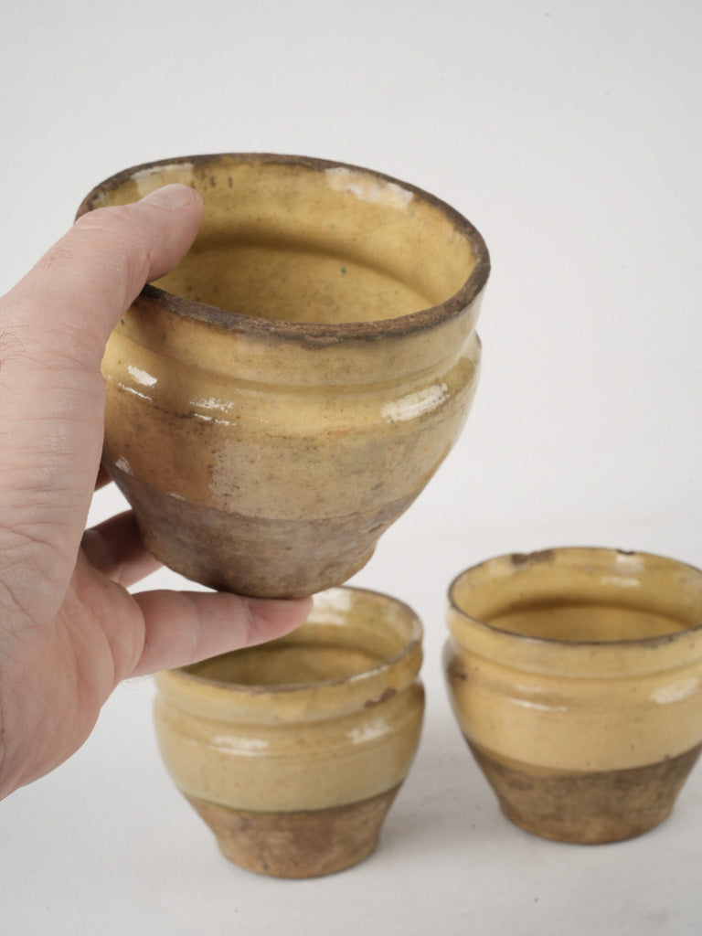 Rustic French provincial jam pot  