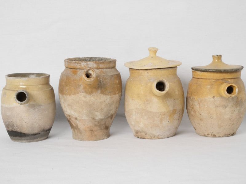 Aged terracotta French antique pots