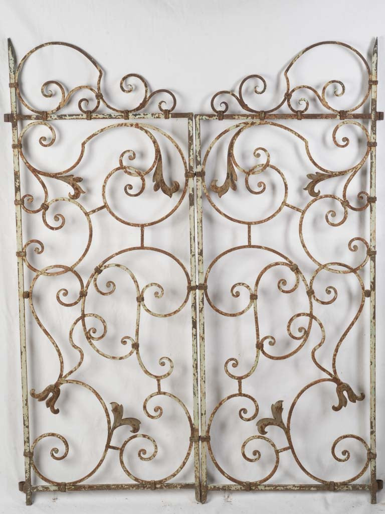 Classic wrought iron door