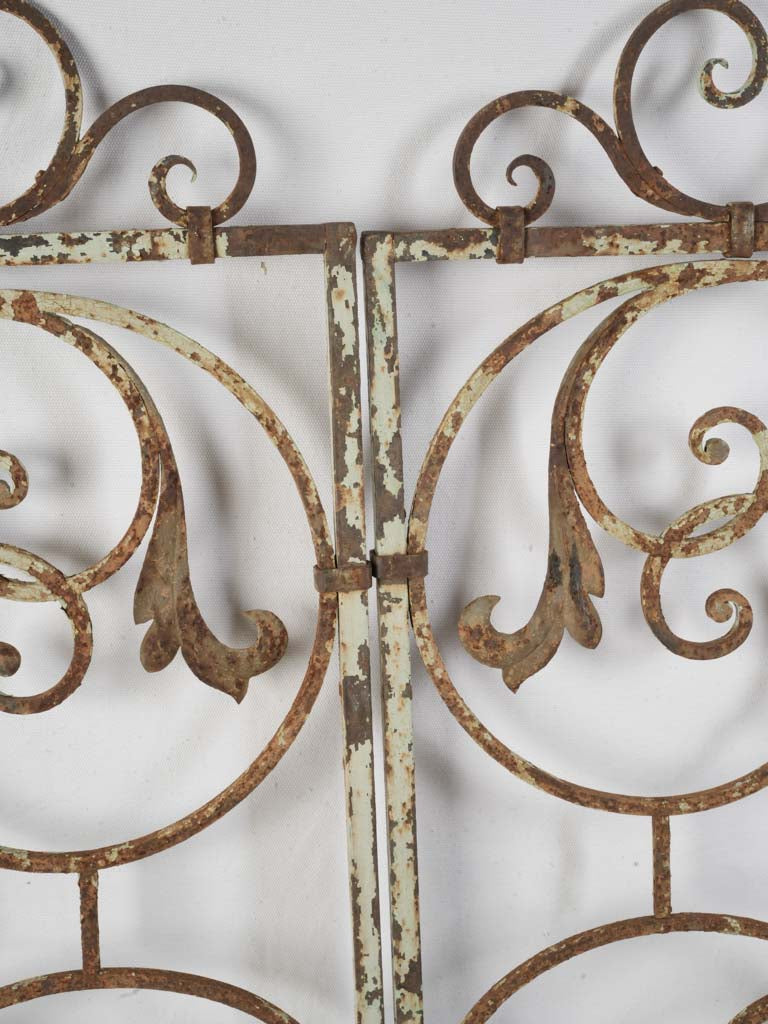 Scrolling motif iron gate  