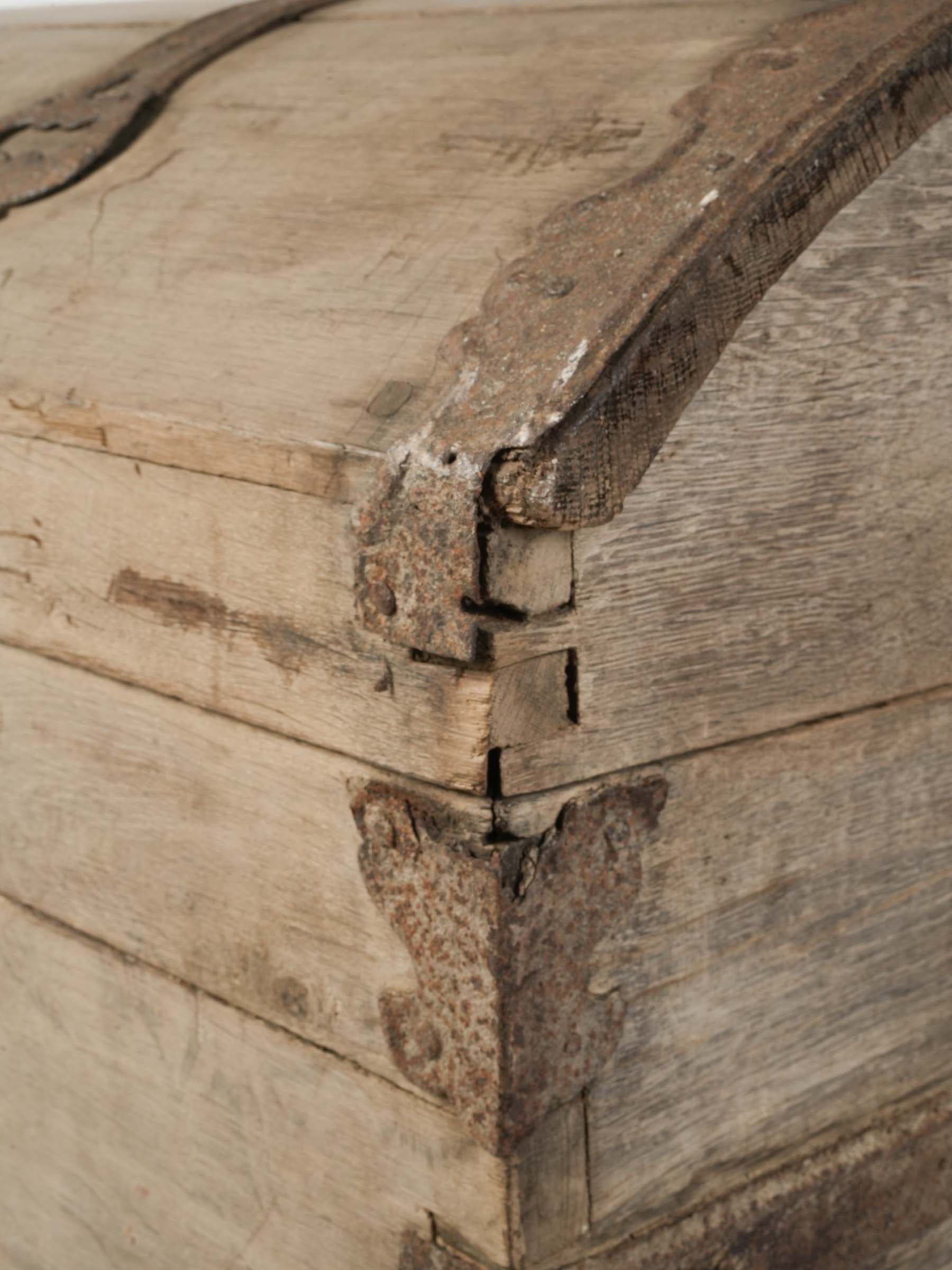 Decorative sculptural ocean chest  