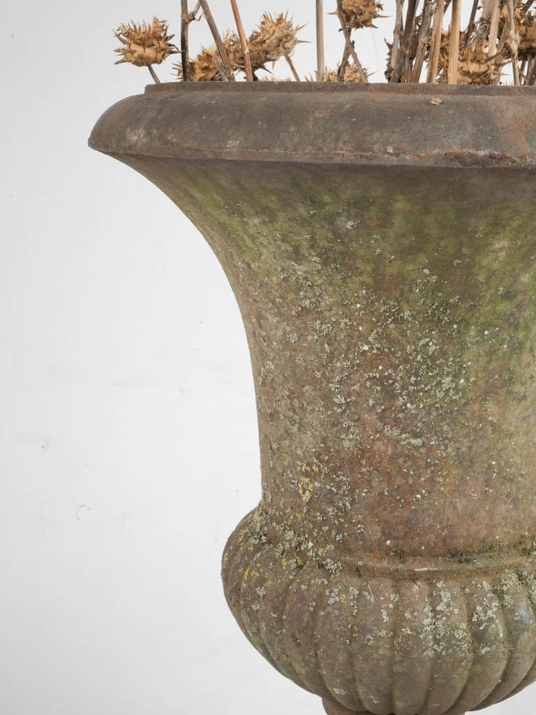 Weathered Medici urn with patina
