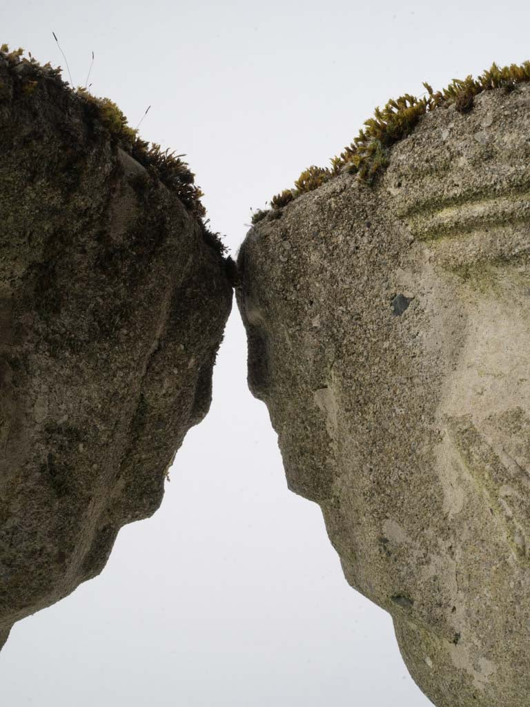 Elegant circular-plinth jardinière