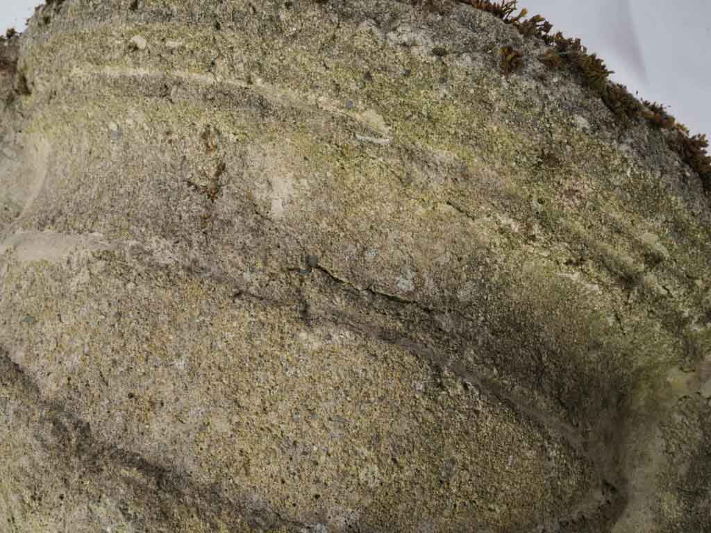 Harmonizing rustic planter