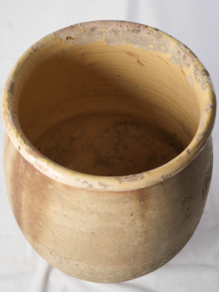 Warm straw-yellow interior planter