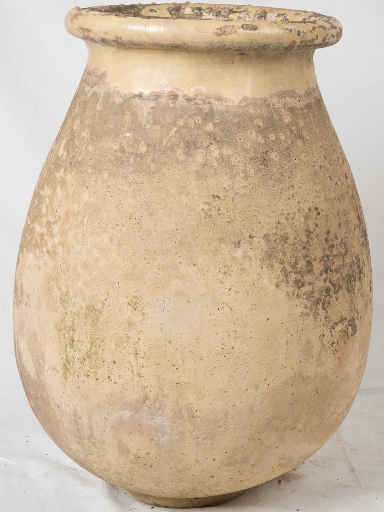 Aged, creamy Biot olive jar