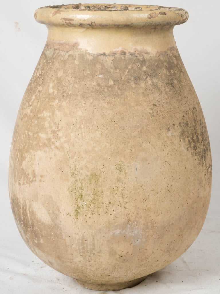 Iconic, round Biot olive container