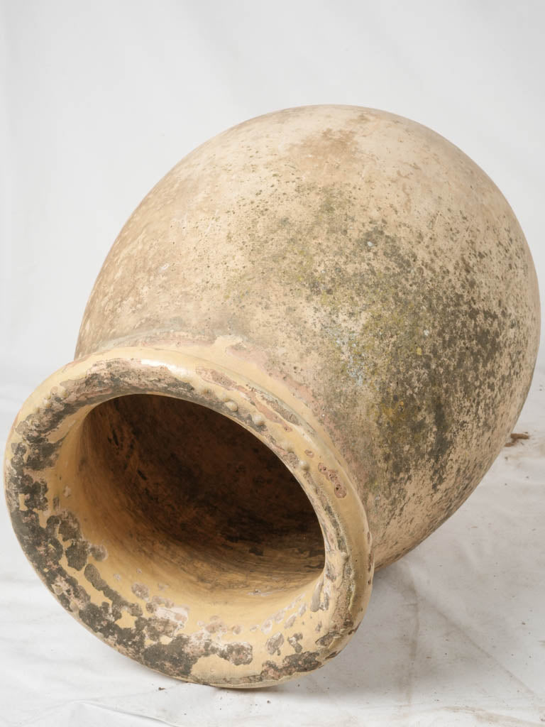 Classic, creamy Biot olive pot