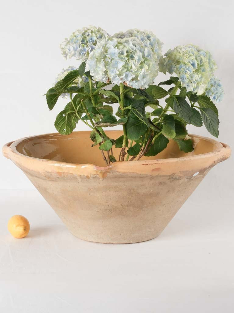 RESERVED GG Huge tian bowl w/ creamy yellow glaze 23¼"