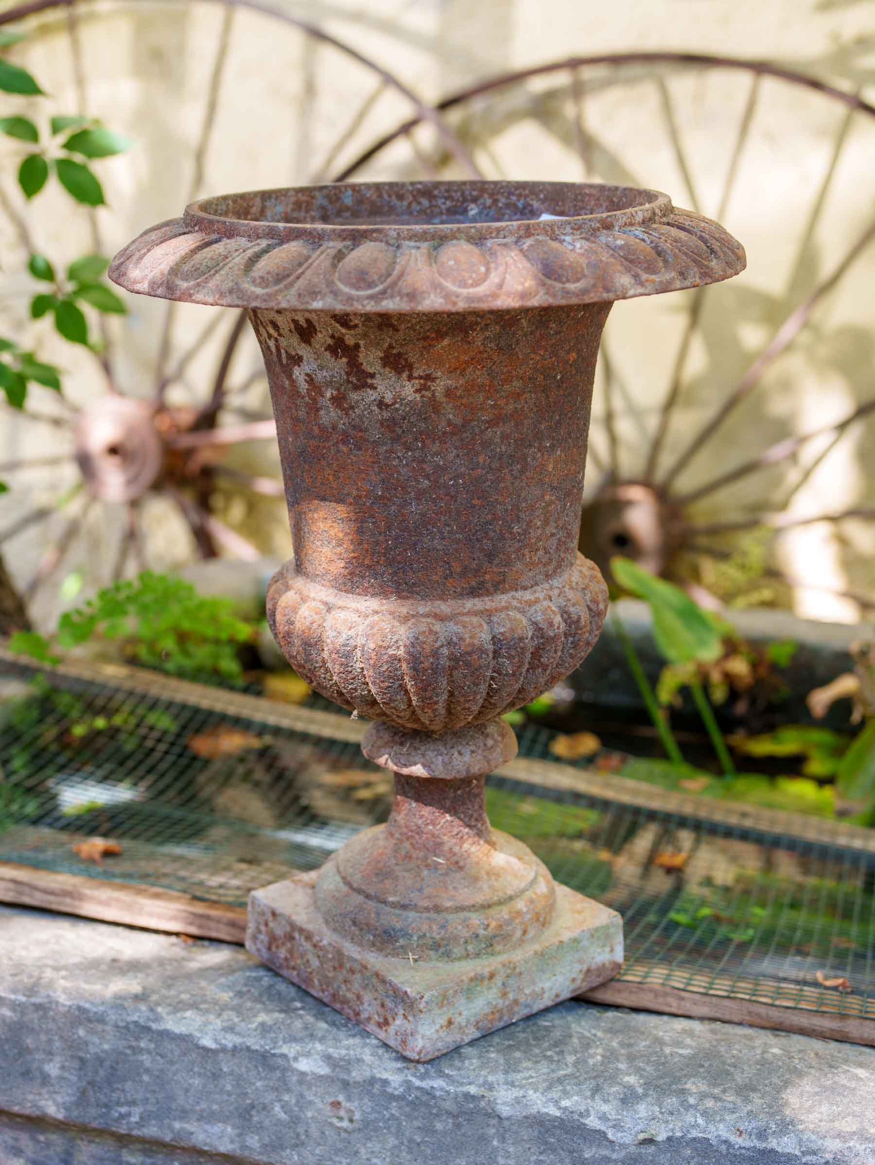 Petite Pair of 19th-Century Cast-Iron Medici Garden Urns - 18" x 13½"