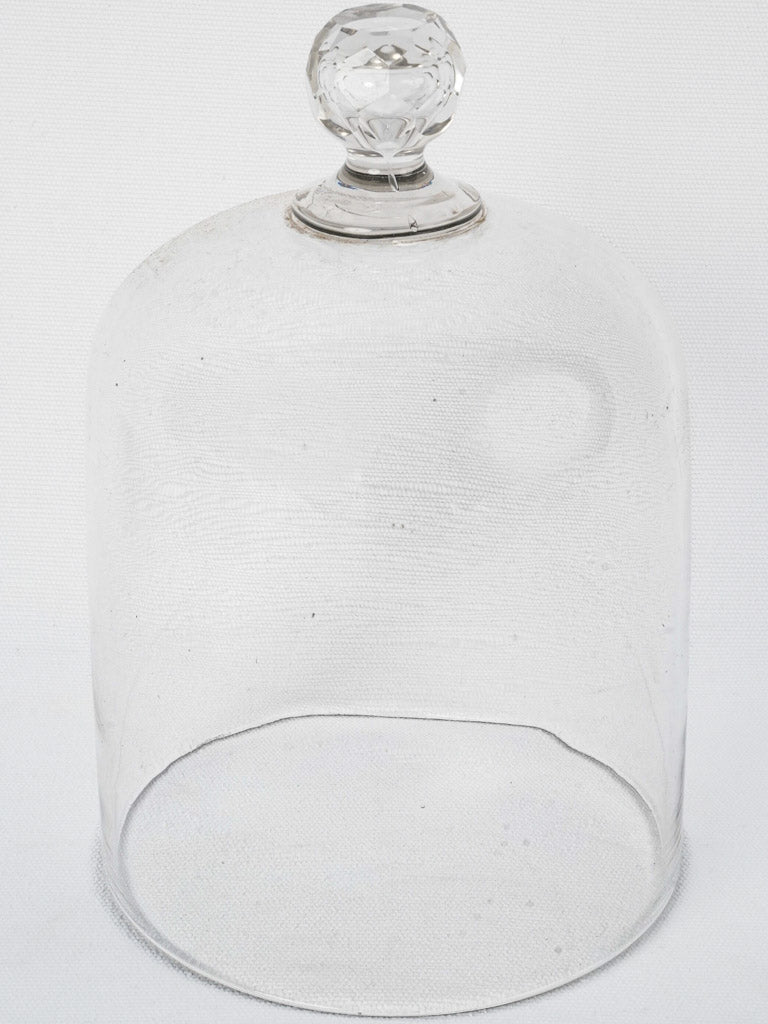Vintage French glass cloche