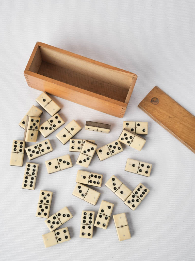 Early 20th-Century Wood and Bone Domino Set - 6¾"