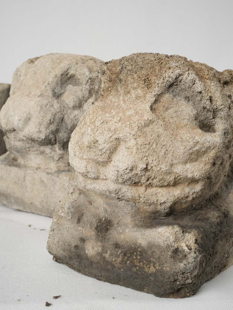 Mystical antique lion garden planters
