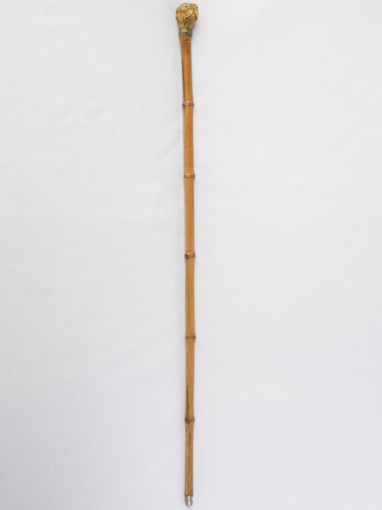 Early 20th Century Novelty Walking Stick w/ Expressive Bulldog Head - 34¼"