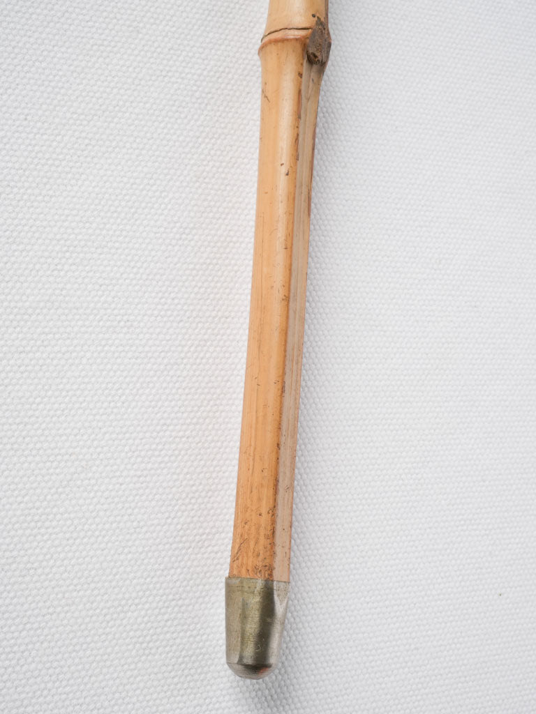 Early 20th Century Novelty Walking Stick w/ Expressive Bulldog Head - 34¼"