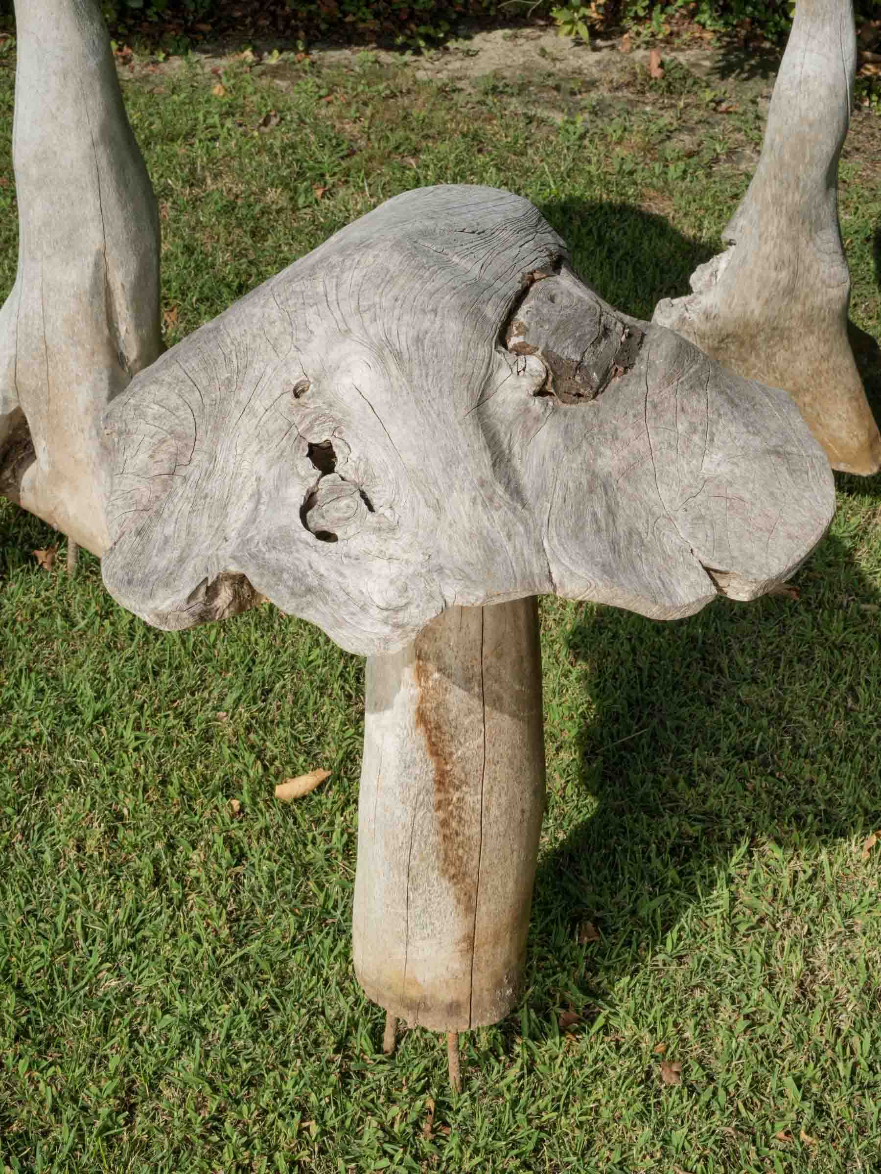 Set of Four Tall Whimsical Wooden Garden Mushrooms