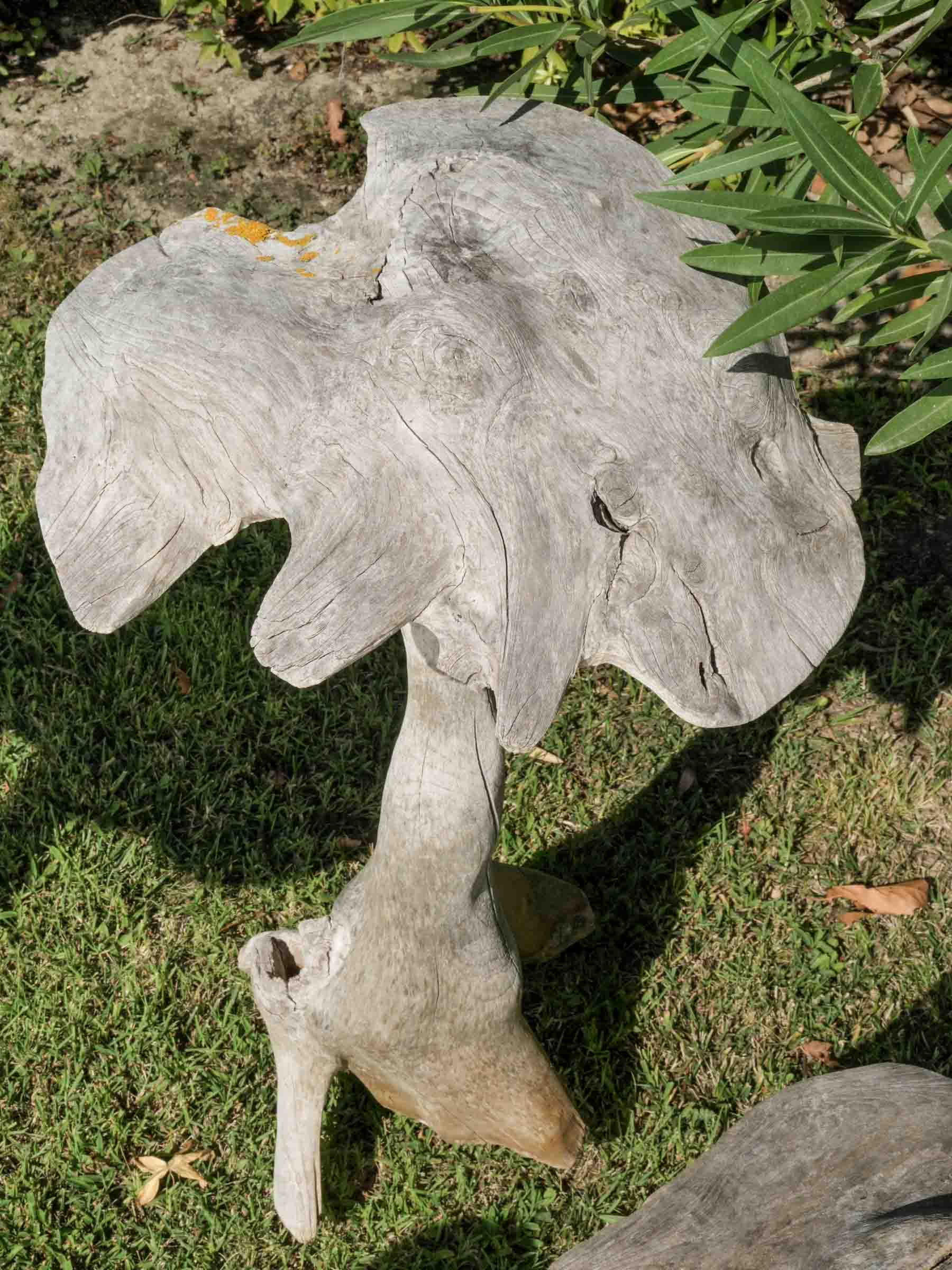 Set of Four Tall Whimsical Wooden Garden Mushrooms