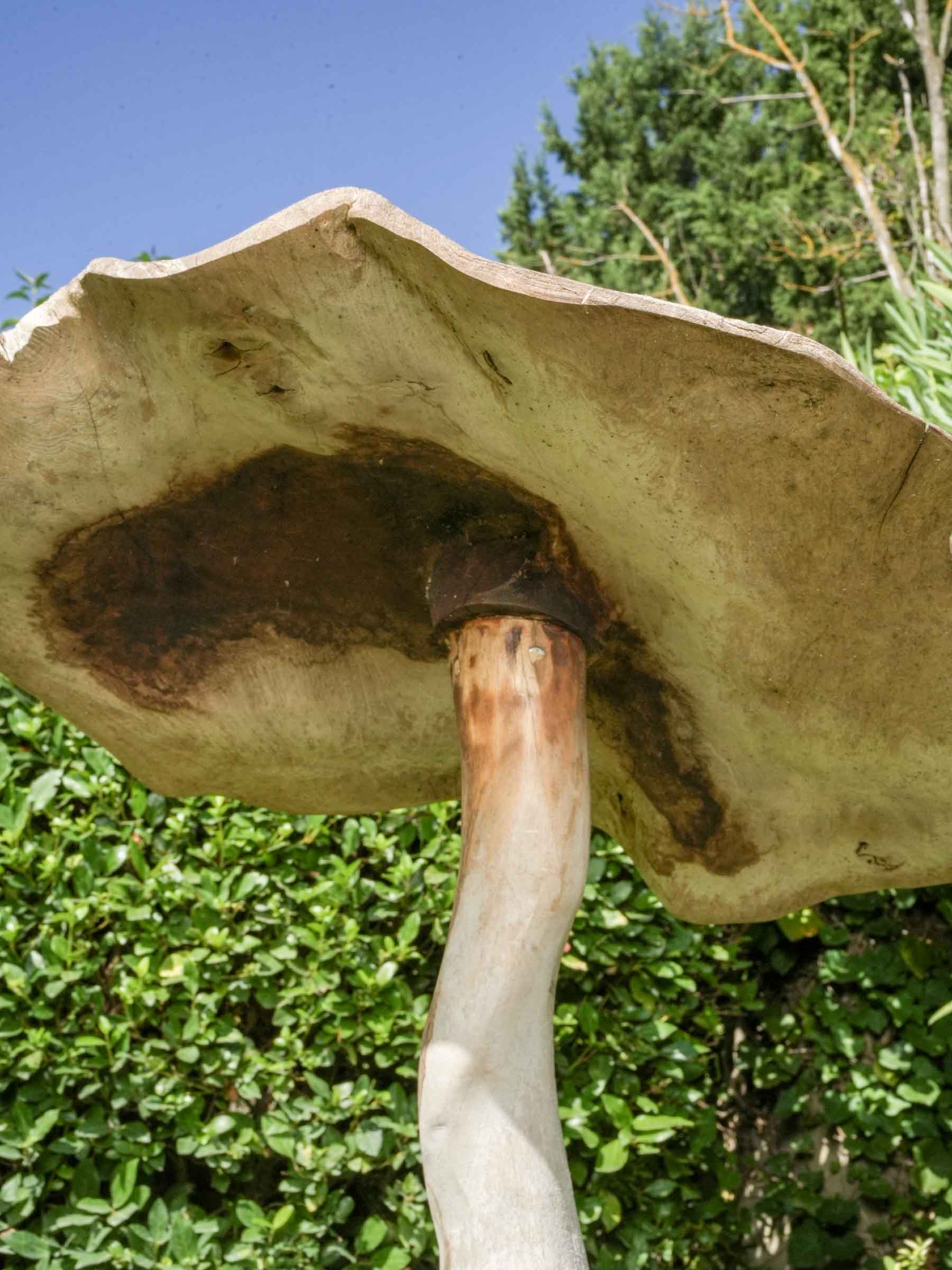 Set of Four Tall Whimsical Wooden Garden Mushrooms
