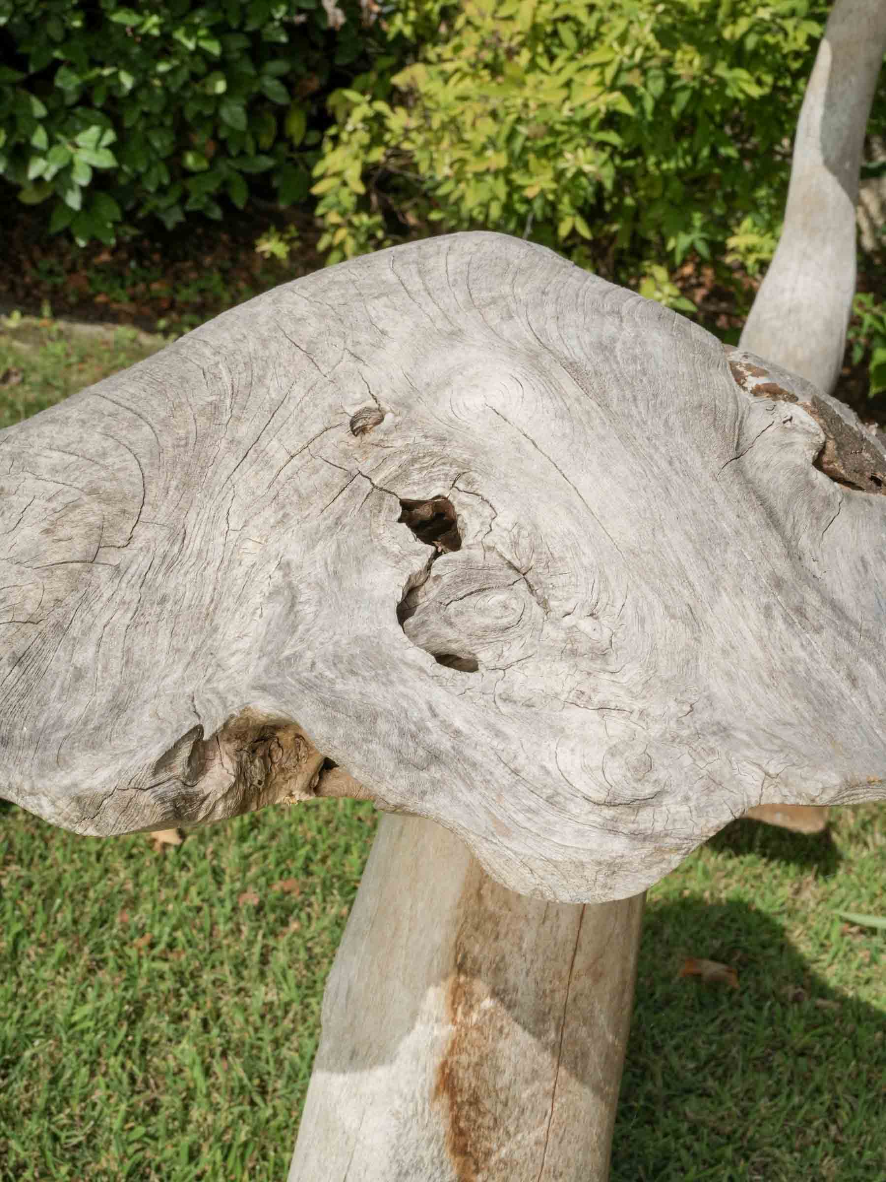 Set of Four Tall Whimsical Wooden Garden Mushrooms
