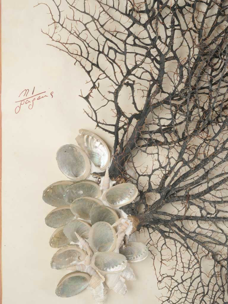 Poetic Mid-20th-Century Italian Marine Composition - 40¼" x  29½"