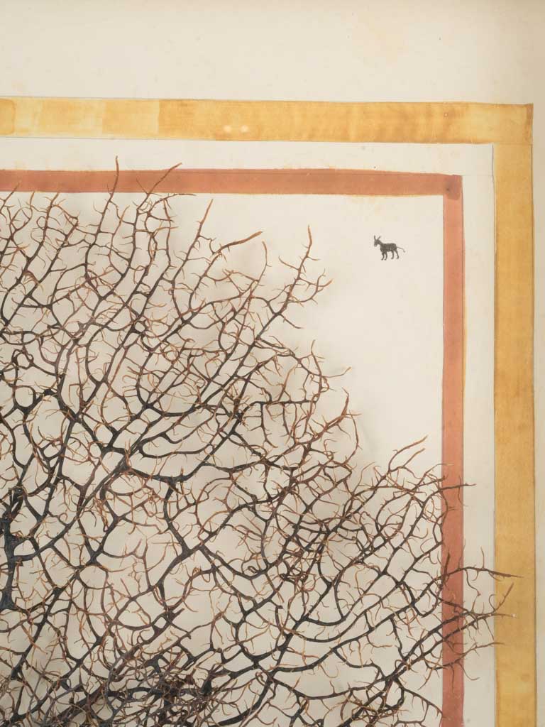 Poetic Mid-20th-Century Italian Marine Composition - 40¼" x  29½"