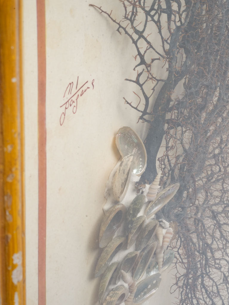 Poetic Mid-20th-Century Italian Marine Composition - 40¼" x  29½"