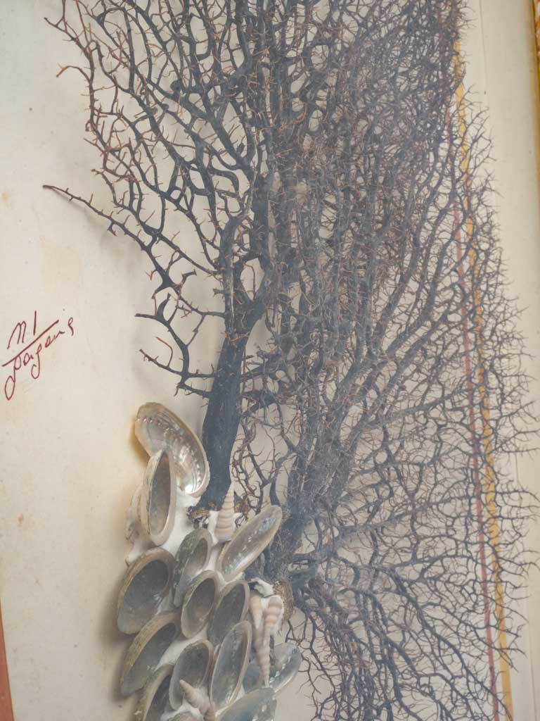 Poetic Mid-20th-Century Italian Marine Composition - 40¼" x  29½"