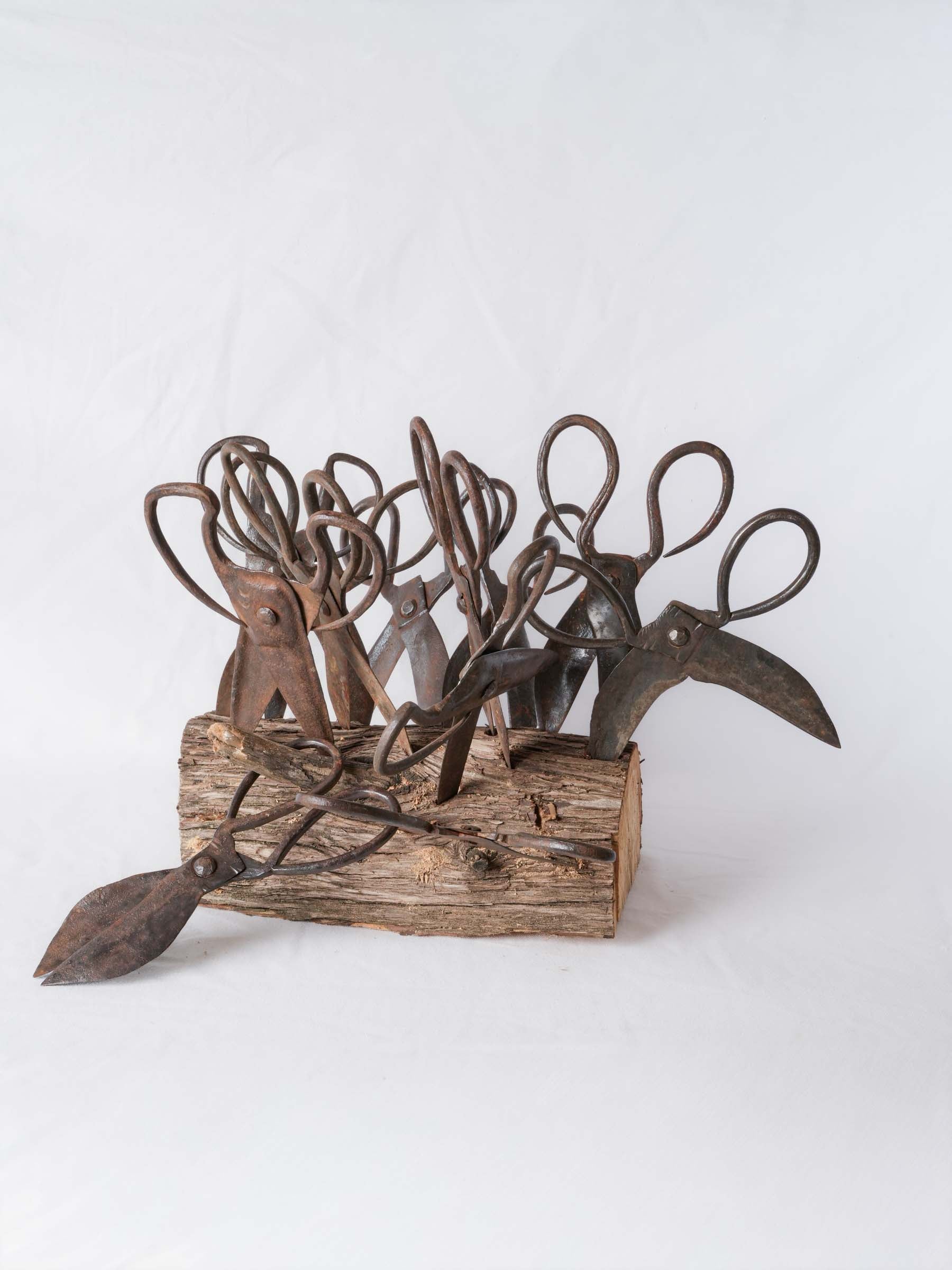 Set of Twelve Antique French Forged-Iron Sheep Shears - 11"
