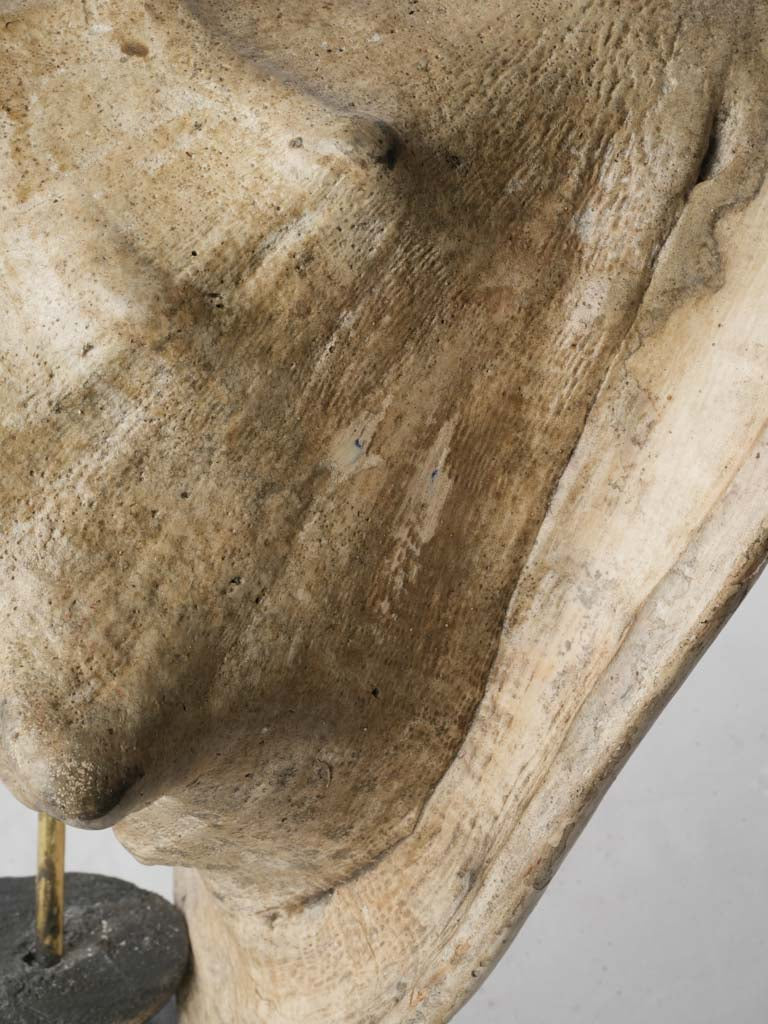 Warm peach aperture marine artifact