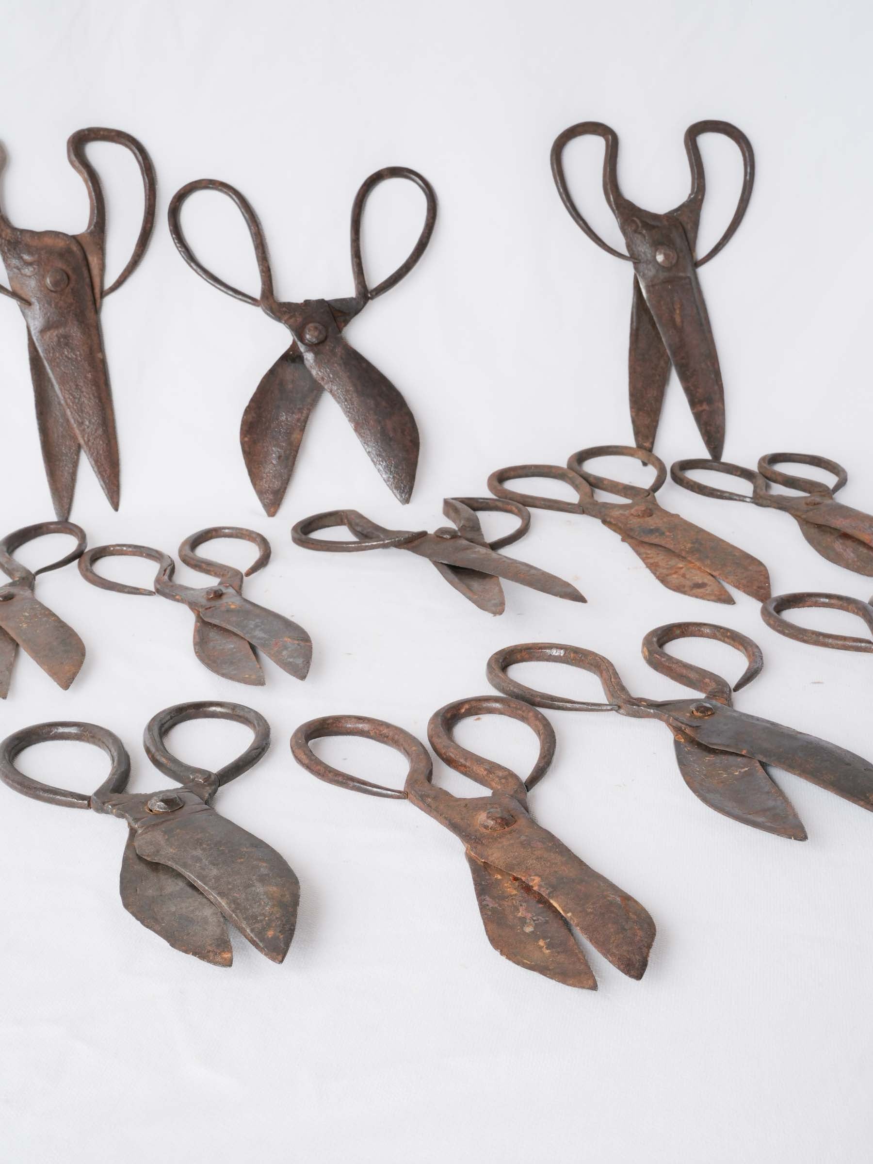 Set of Twelve Antique French Forged-Iron Sheep Shears - 11"