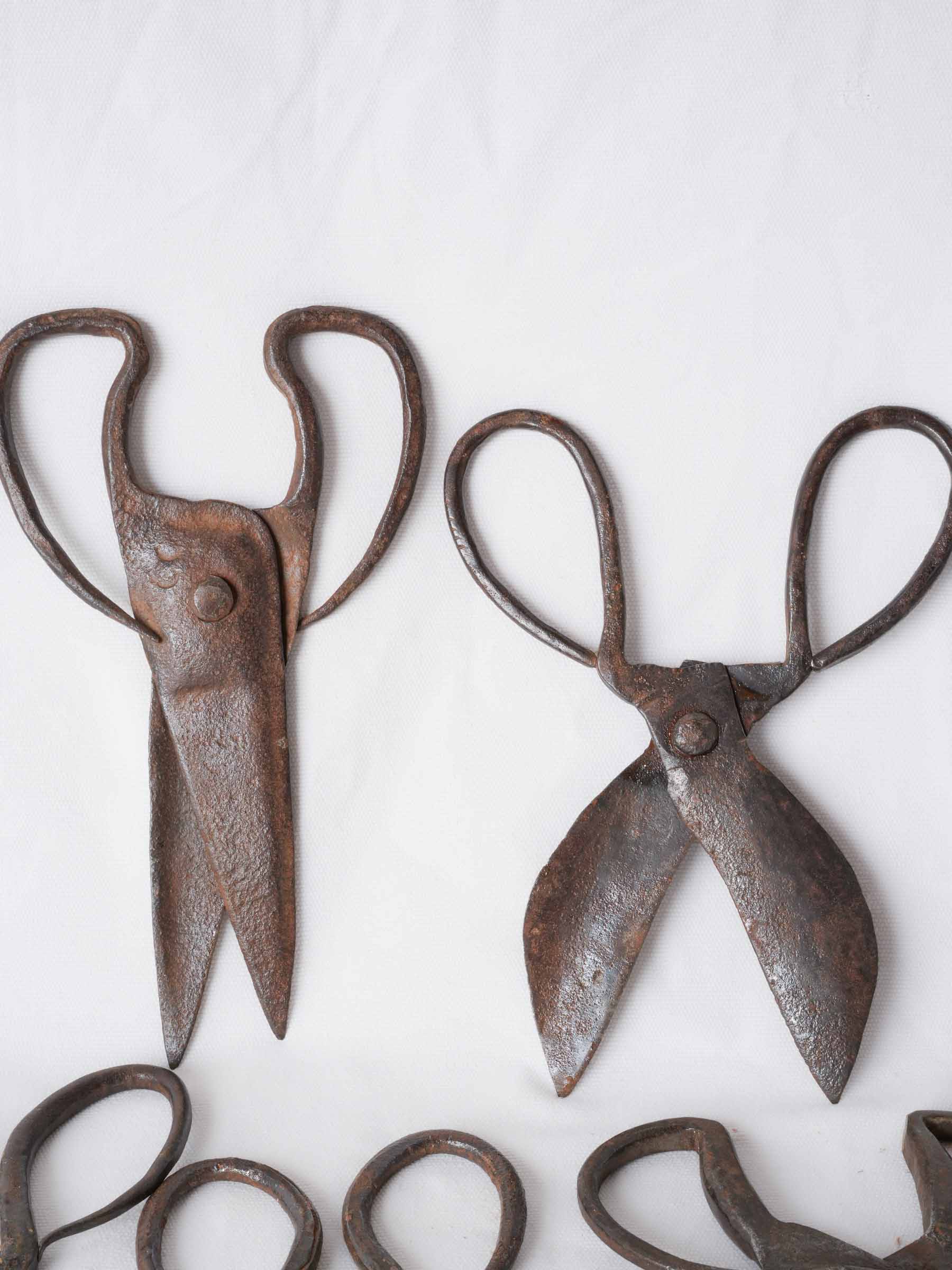 Set of Twelve Antique French Forged-Iron Sheep Shears - 11"