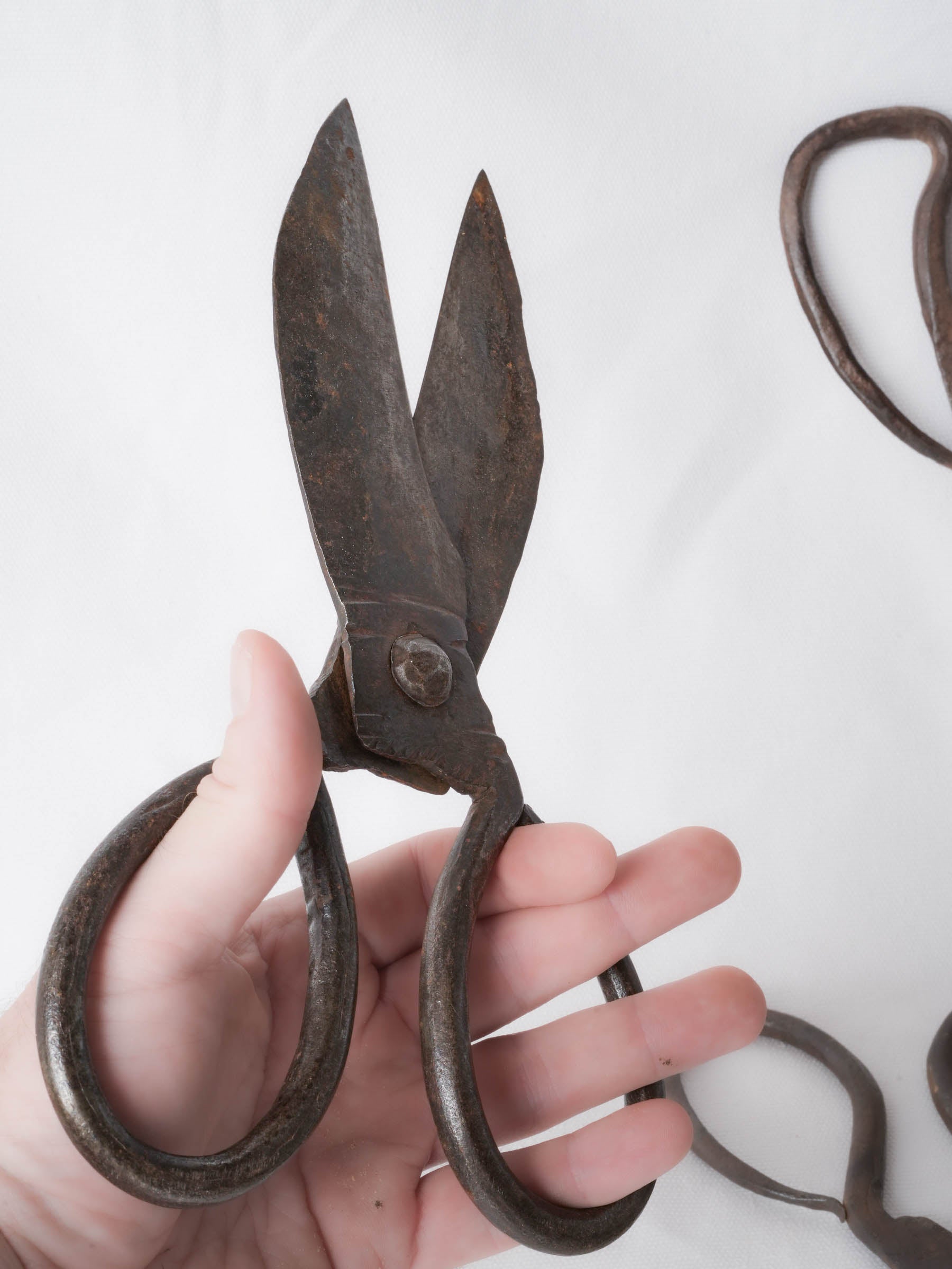 Set of Twelve Antique French Forged-Iron Sheep Shears - 11"