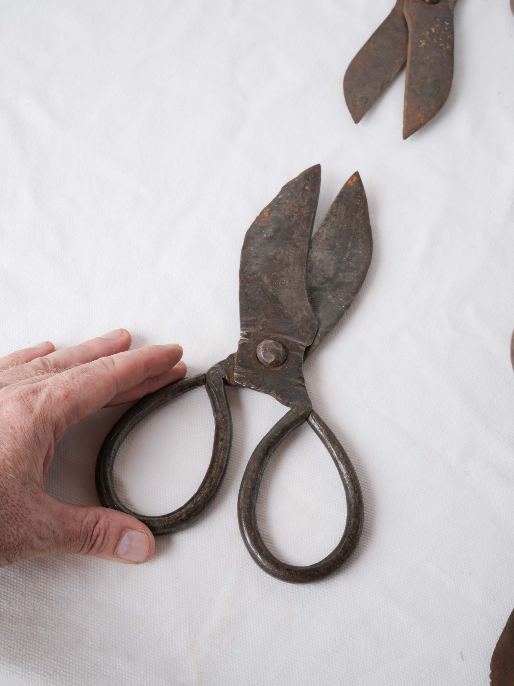 Set of Twelve Antique French Forged-Iron Sheep Shears - 11"