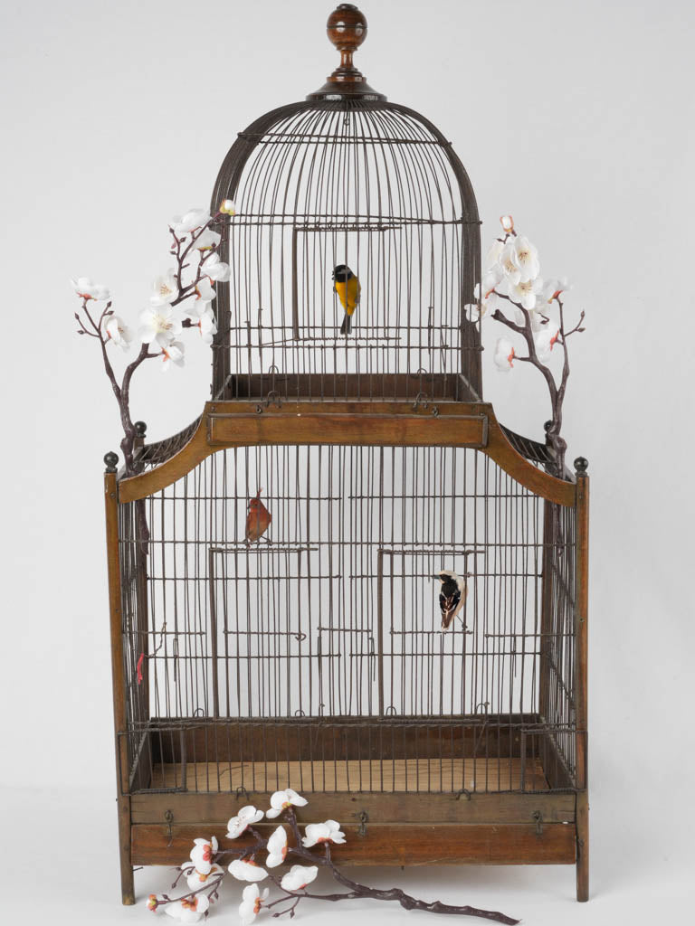 Nineteenth-century timber birdcage with dome