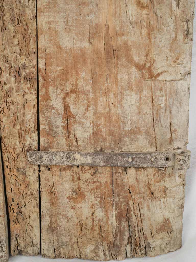 Time-worn rustic cellar walnut door