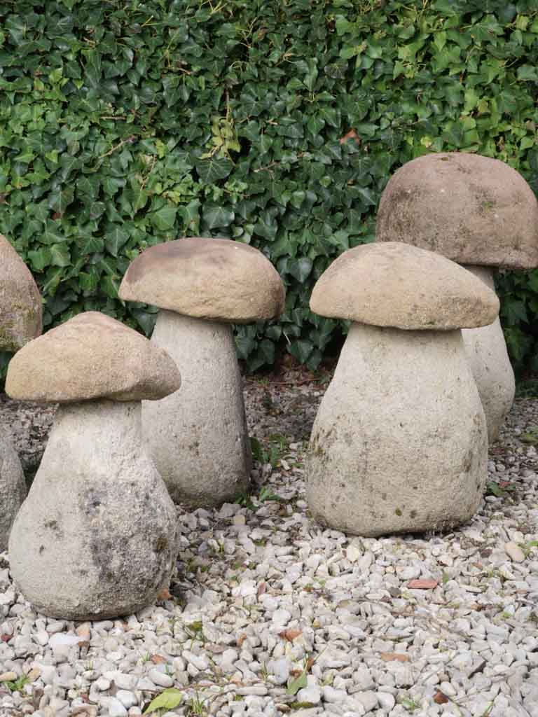 Rustic, weathered garden mushroom sculptures