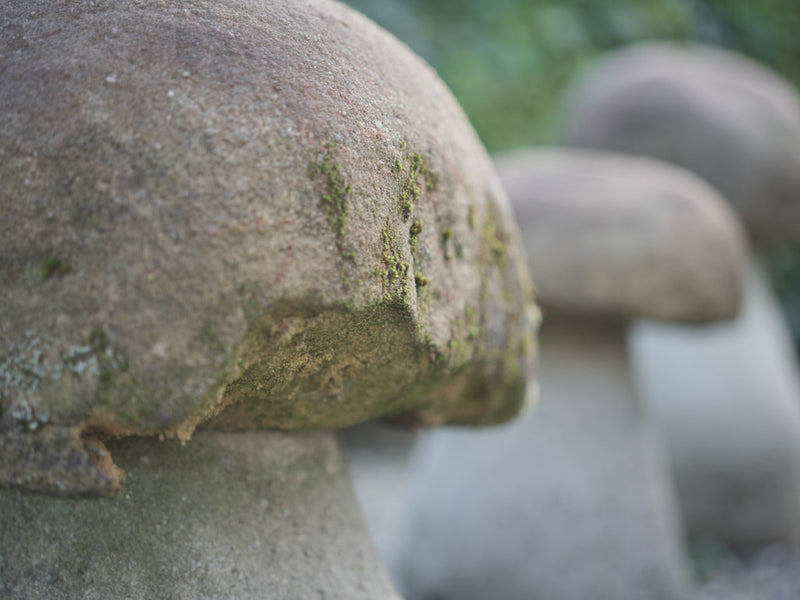Provence-inspired stone mushroom sculptures