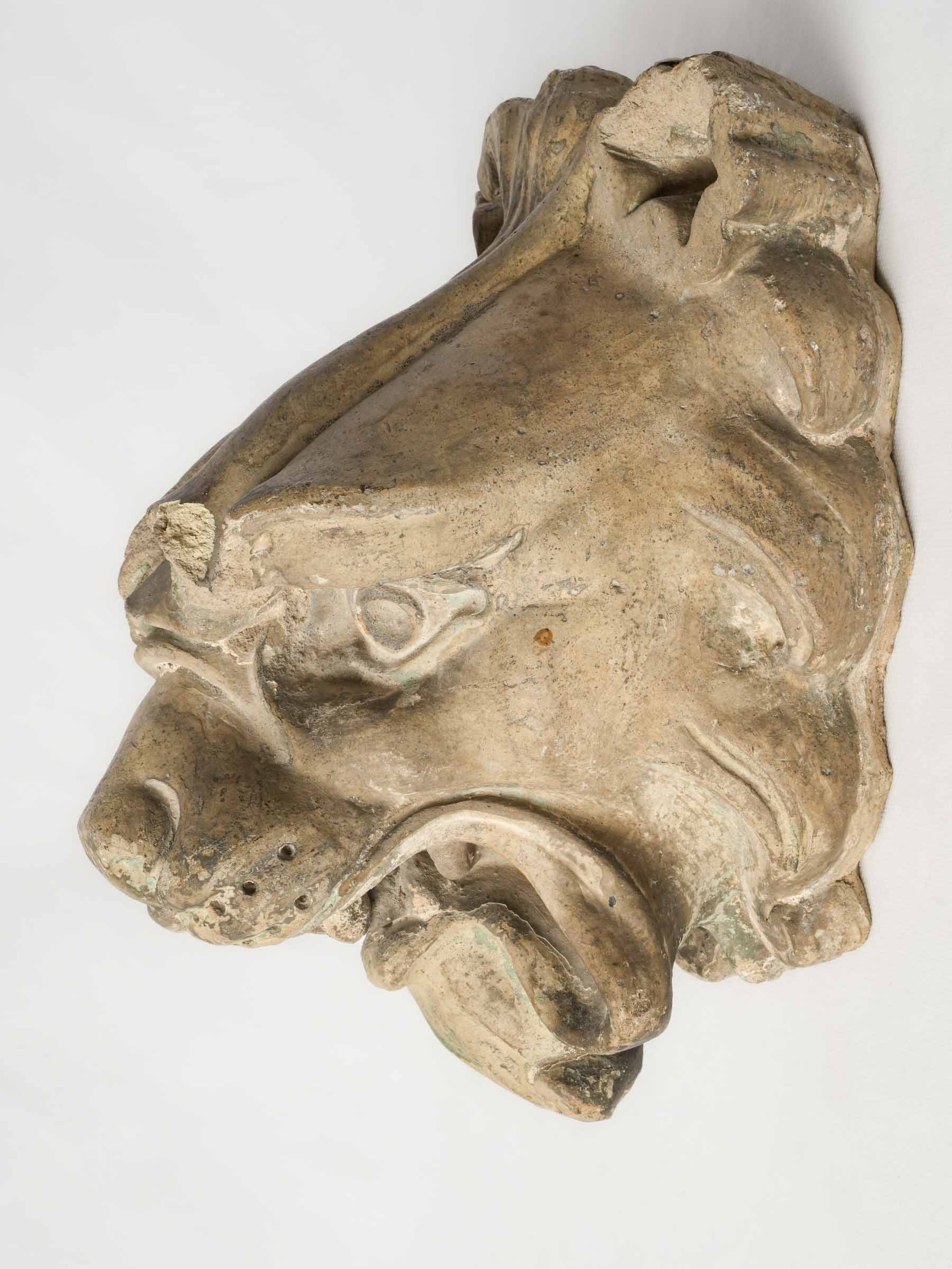 French Régence Period Expressive Lion Head in Patinated Terracotta - 12½" x 10¼"