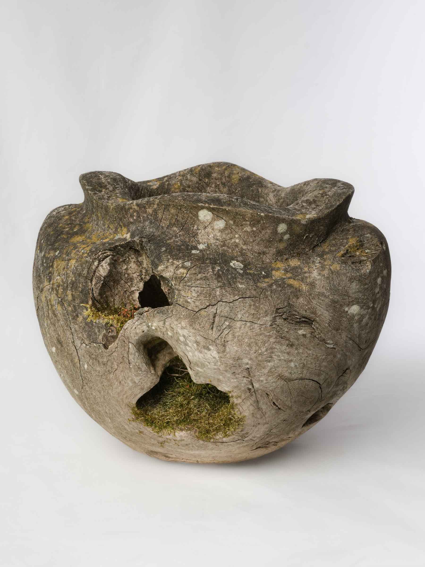Sculptural Driftwood Vessel w/ Moss Patina - 18"