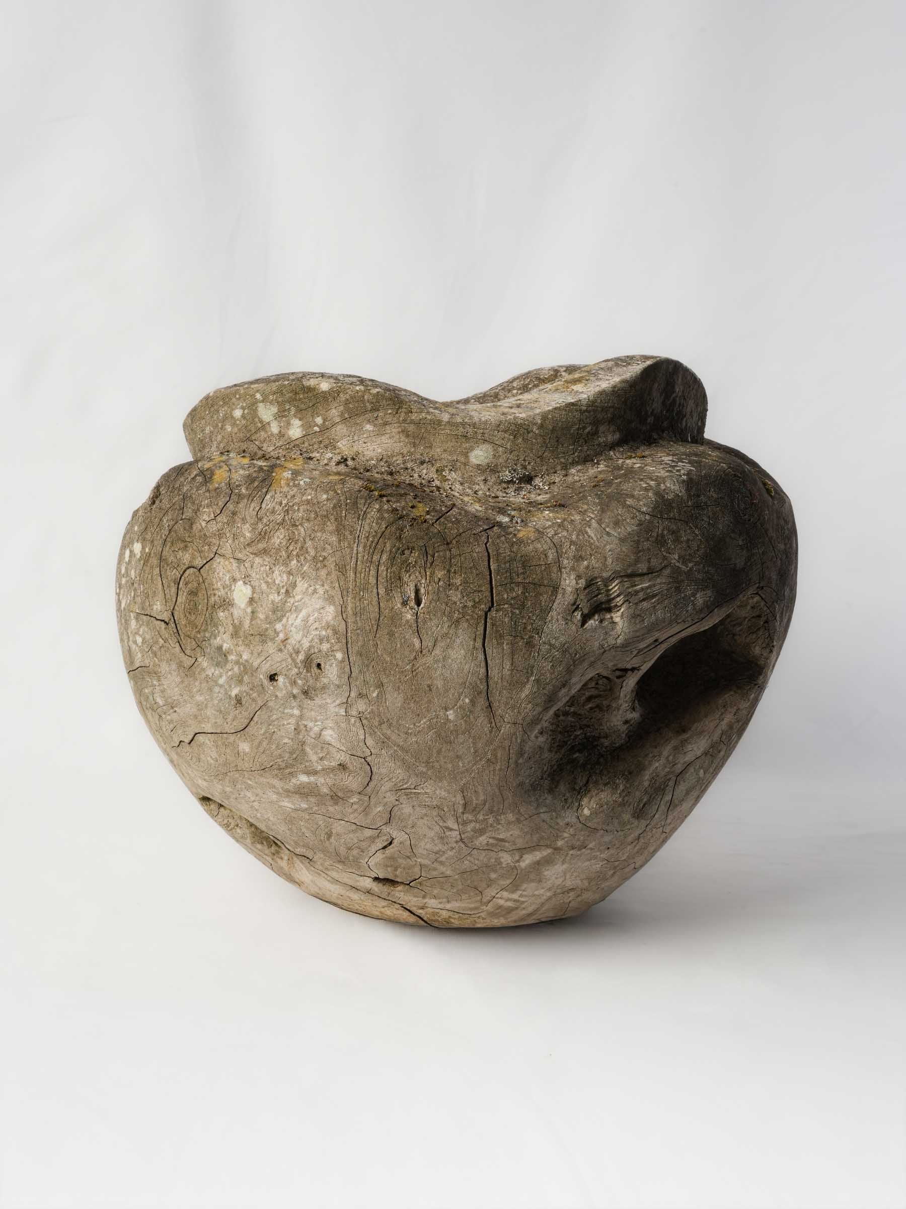 Sculptural Driftwood Vessel w/ Moss Patina - 18"