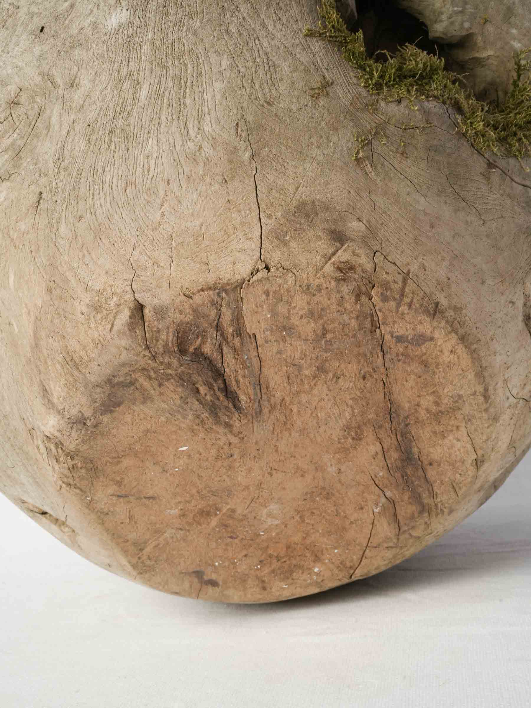 Sculptural Driftwood Vessel w/ Moss Patina - 18"
