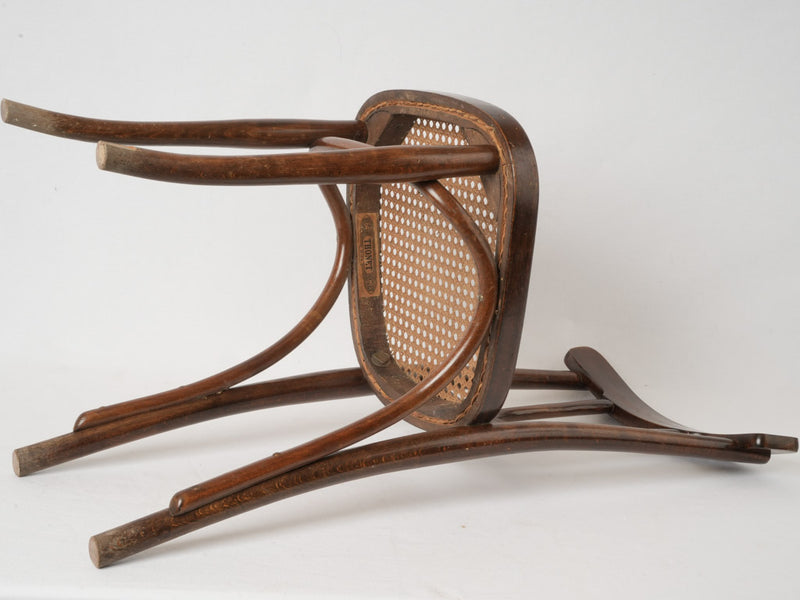 Signature steam-folded Thonet wooden chairs