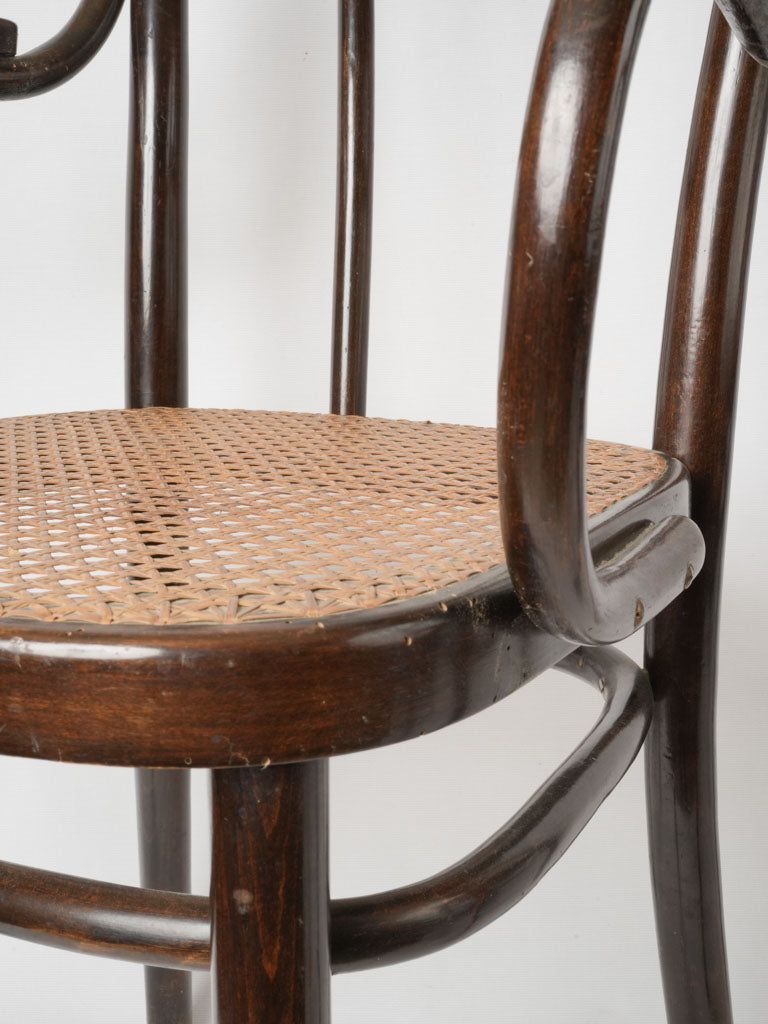 Historical Viennese craftsmanship Thonet chairs