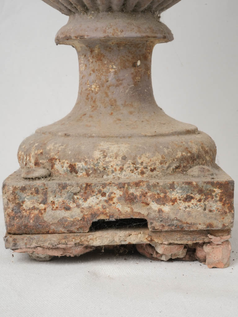 Unique aged beauty Medici urns  