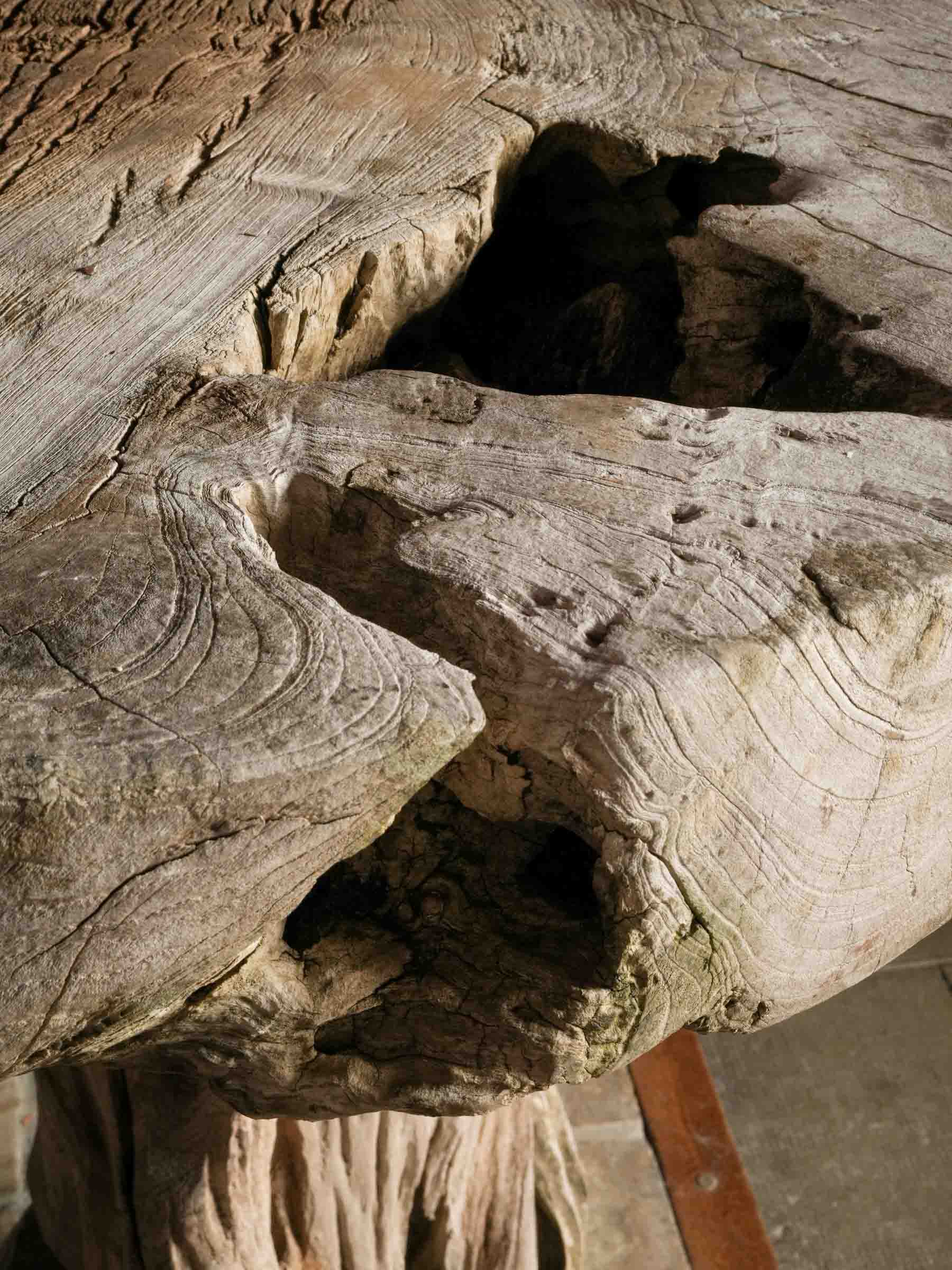 Naturalistic Driftwood Table and Three-Stool Ensemble, 20th Century.