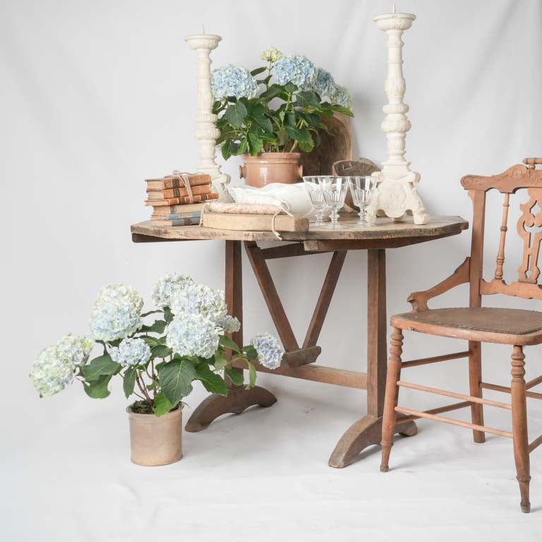 Aged Walnut French countryside chair